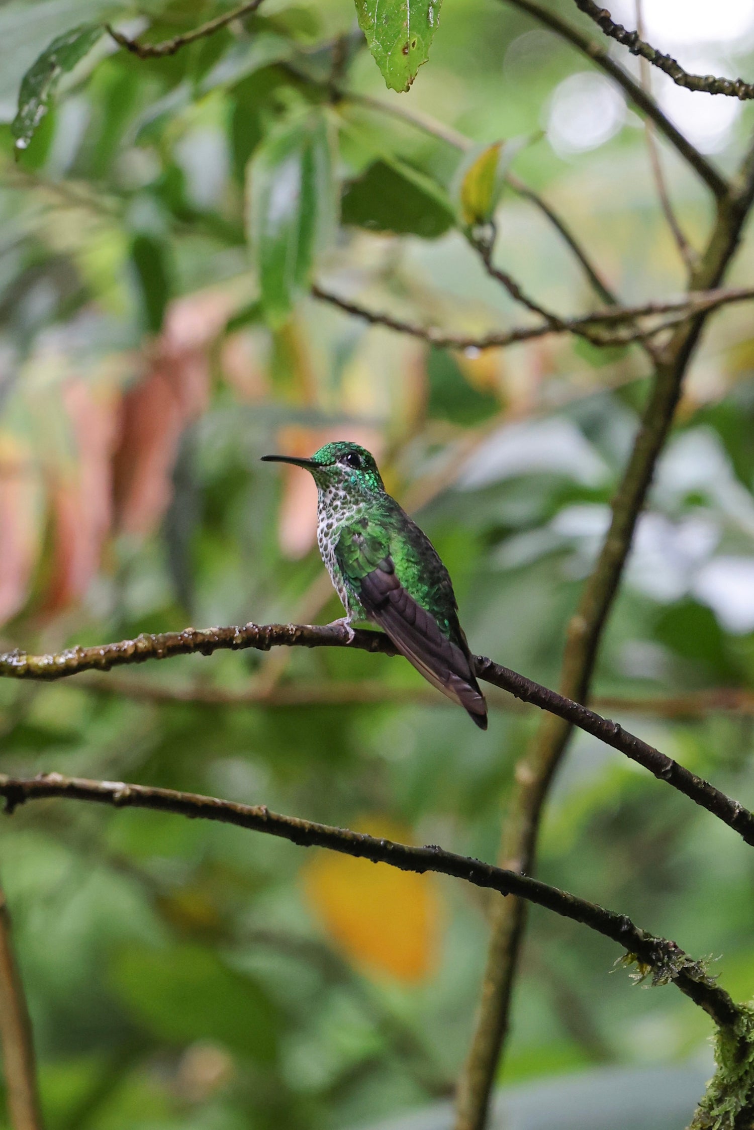 evmlookbook_expertvillagemedia